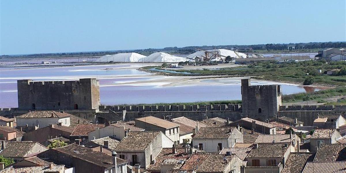 Camargue Beauvoisin (Gard) Exterior photo