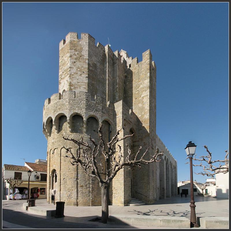 Camargue Beauvoisin (Gard) Exterior photo