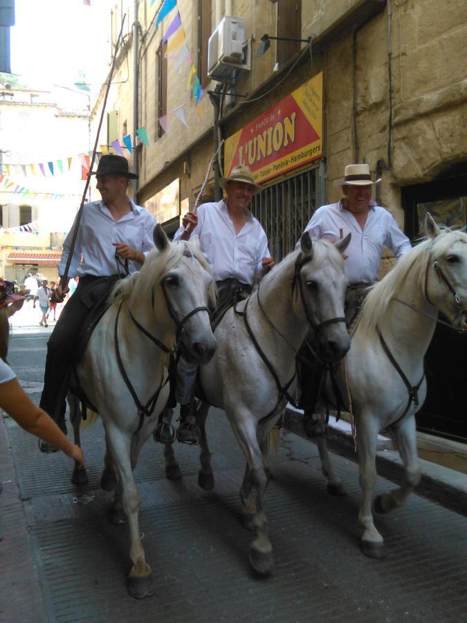 Camargue Beauvoisin (Gard) Exterior photo